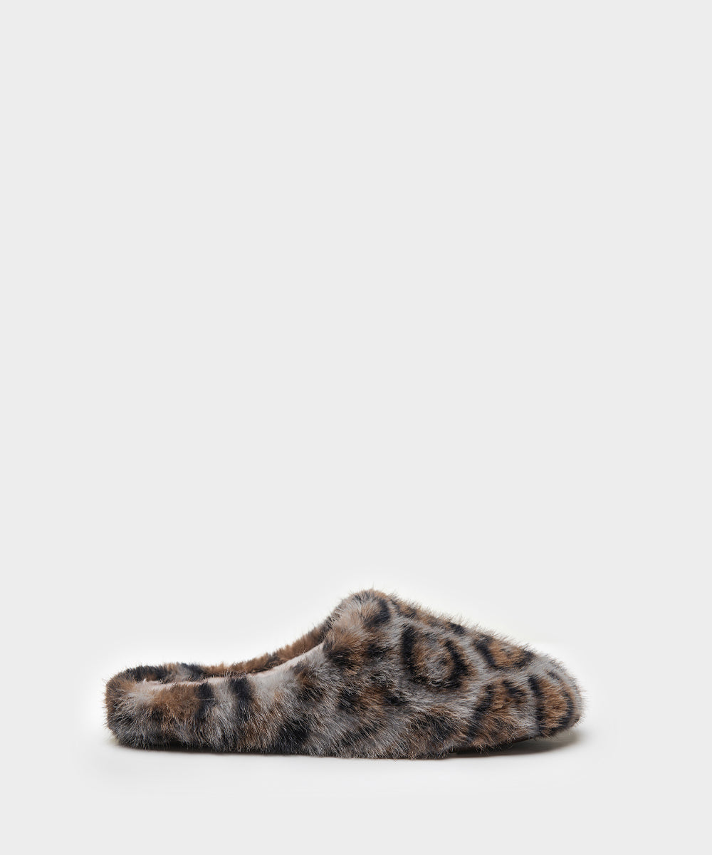 Anais48_Jaguar_01.jpg